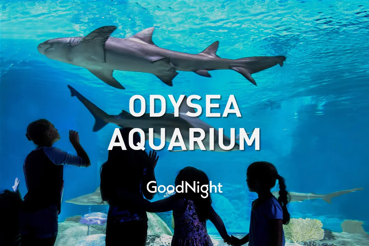 Inside an aquarium, children are silhouetted against a mesmerizing display of sharks swimming overhead. The aquatic environment is filled with wonder and curiosity, perfectly capturing the magic of learning about marine life as a family.