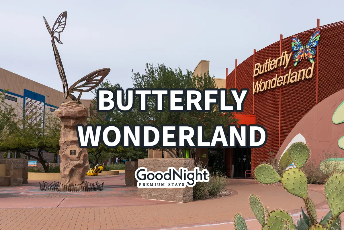 This exterior shot features the vibrant Butterfly Wonderland entrance, complete with a striking butterfly sculpture and lush landscaping. The scene is lively and inviting, suggestive of family-friendly adventures and memorable outings.