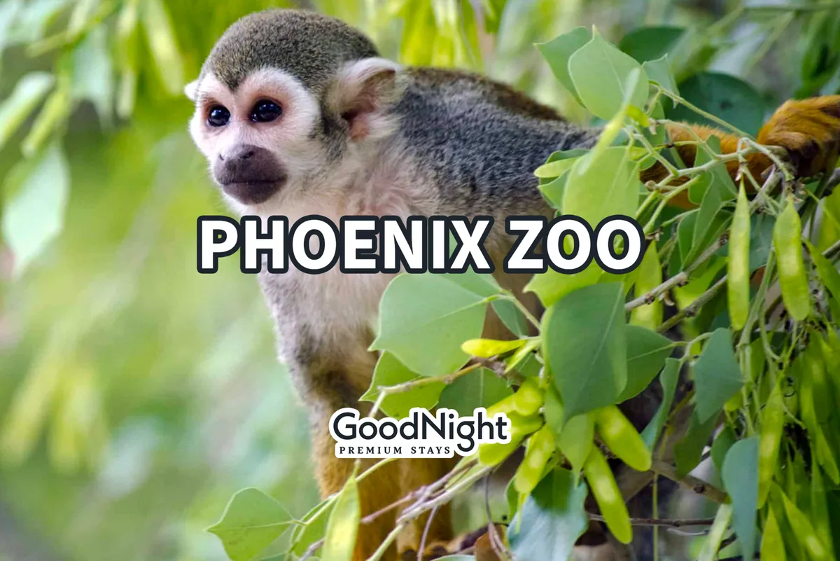 A cheerful squirrel monkey perches amidst lush greenery in an outdoor setting, inviting families to observe and learn about wildlife up close in a joyful, educational environment.